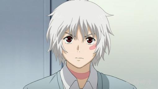 紫苑