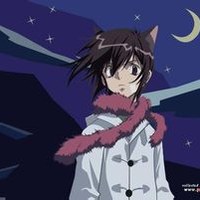 青柳立夏