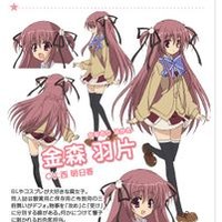 金森羽片